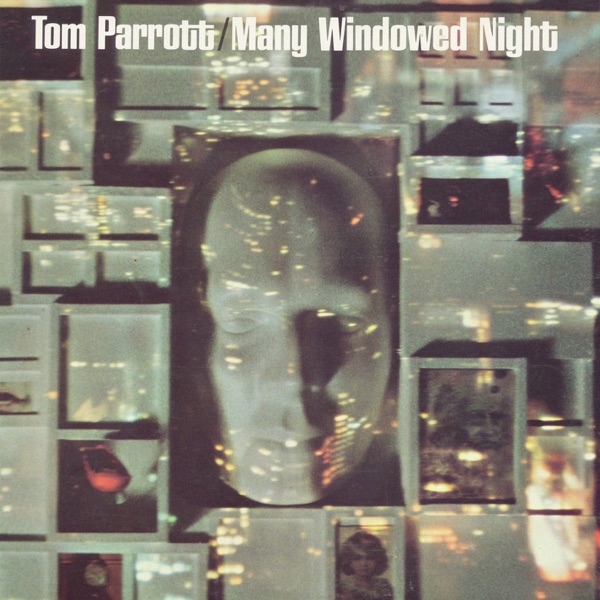 Many Windowed Night