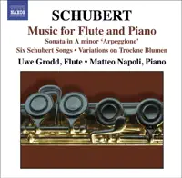 Arpeggione Sonata in A Minor, D. 821 : I. Allegro Moderato — Matteo Napoli & Uwe Grodd