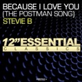 STEVIE B