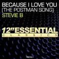 Because I Love You (Postman Song)