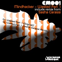 Wasted, Pt. 1 - Single - Mindhacker