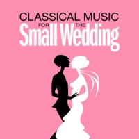 Classical Music for the Small Wedding - Various Artists