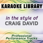 In the Style of Craig David (Karaoke - Professional Performance Tracks)