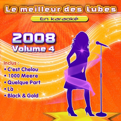 Le meilleur des tubes en karaoké (2008, Vol. 4)
