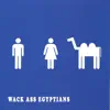 Wack Ass Egyptians - Put A Sock In It
