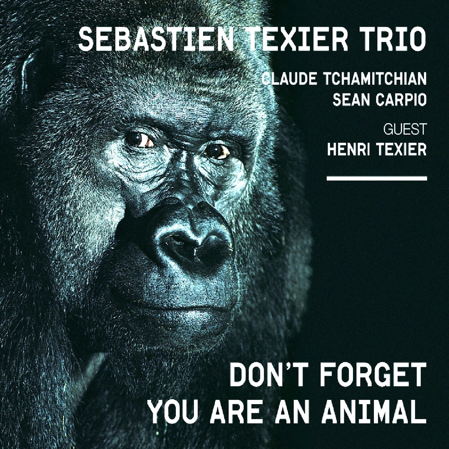 Don't Forget You Are an Animal (feat. Henri Texier, Claude Tchamitchian & Sean Carpio)