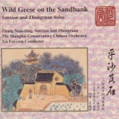 Wild Geese On the Sandbank: Sanxian and Ruan Solos artwork