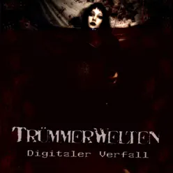 Digitaler Verfall - TrümmerWelten