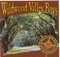 The Day Passed Me By - Wildwood Valley Boys lyrics