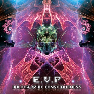 Holographic Consciousness