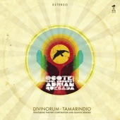 Tamarindio (Thievery Corporation Remix) artwork