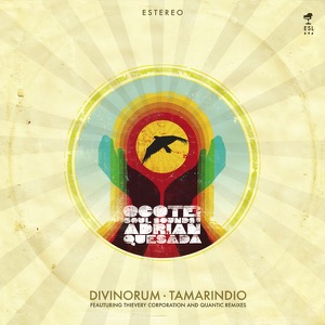 Tamarindio (Thievery Corporation Remix)