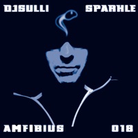 The Sparkle - EP - DJ Sulli