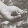 Stark Perspective - EP