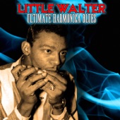 Little Walter - I Hate to See You Go