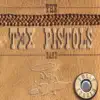 The Tex Pistols Band - Where Do the Wild Horses Run