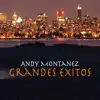 Andy Montañez - Cantante Errante