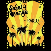 Radio - Single - Safety Orange