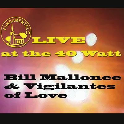 Vigilantes of Love