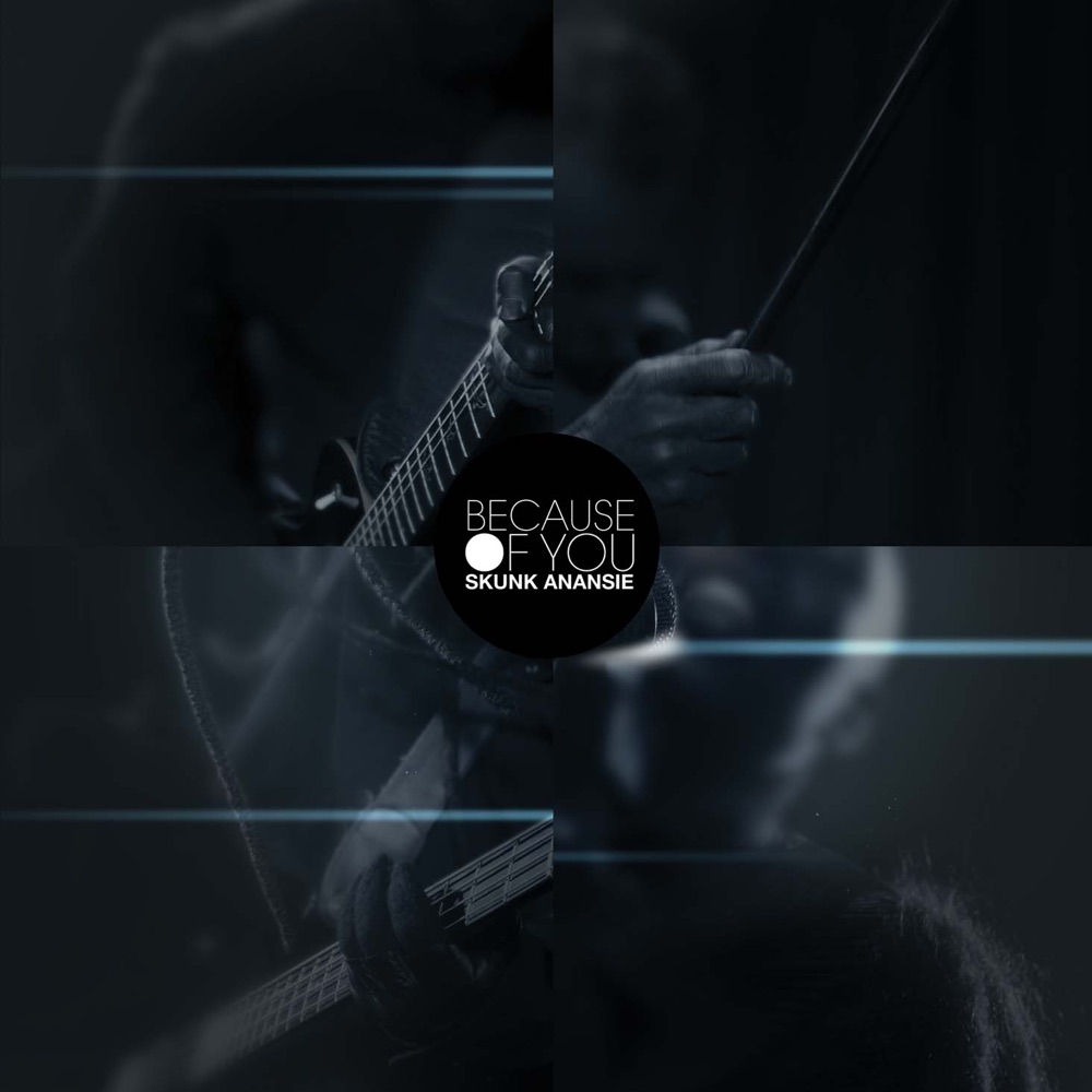 Обложка альбома «Because of You - Single» — Skunk Anansie