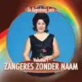 DE VLIEGER