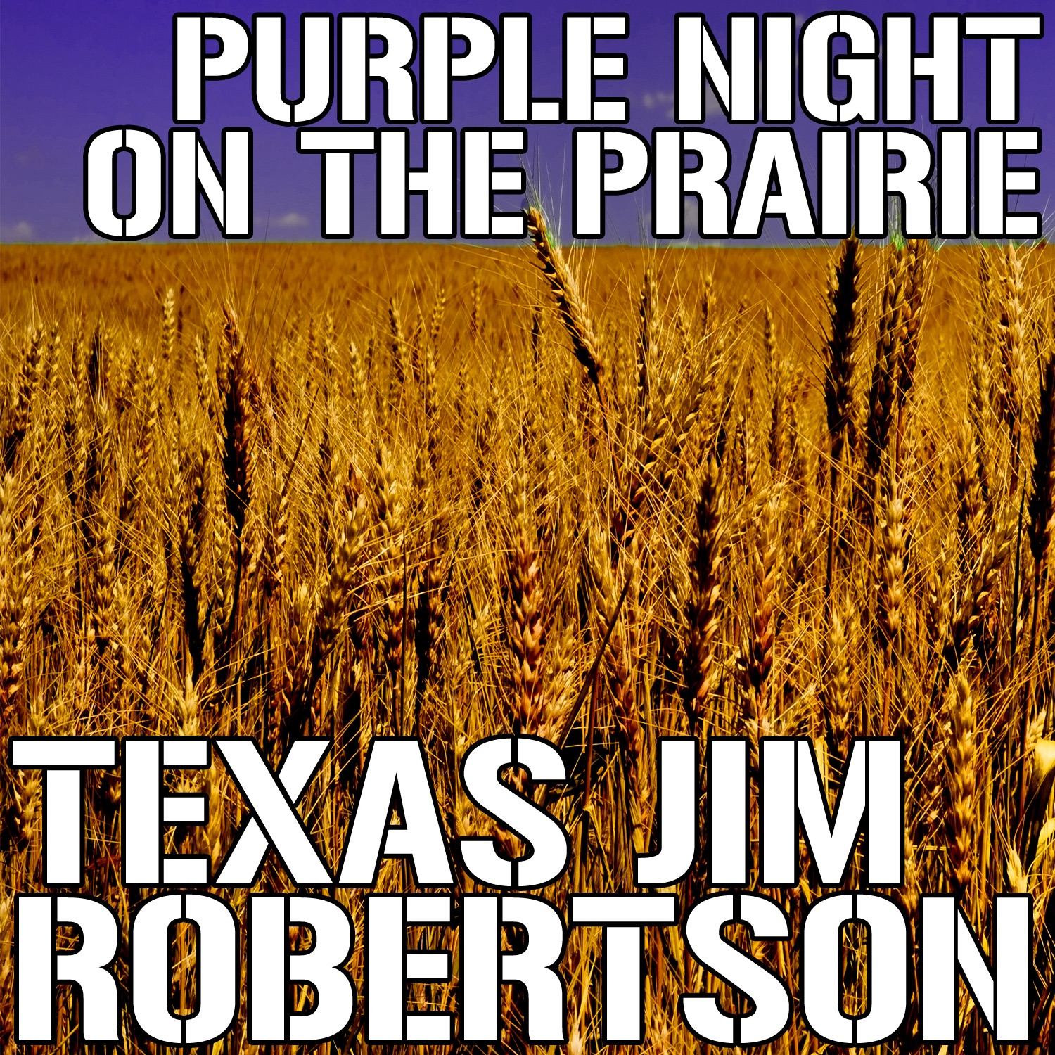 Purple Night On the Prairie