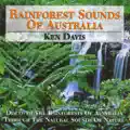 Daintree