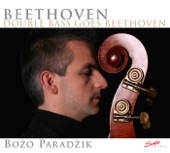 Double Bass Goes Beethoven artwork