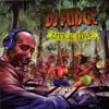 DJ Fudge - If I Had a Band