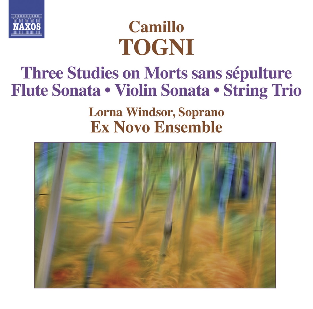 Обложка альбома «Togni: Sonata for Flute and Piano, Op. 35 & Sonata for Violin and Piano, Op. 37» — Aldo Orvieto, Lorna Windsor & Daniele Ruggieri