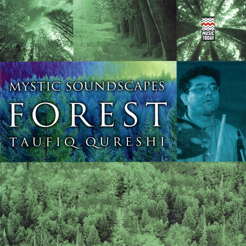 Обложка альбома «Mystic Soundscapes: Forest» — Taufiq Qureshi