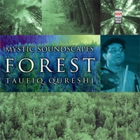 Mystic Soundscapes: Forest - Taufiq Qureshi