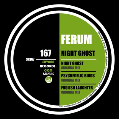 Night Ghost - Single