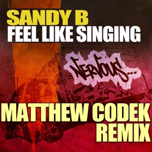Feel Like Singin' (Matthew Codek Re-written 2011 Remix) - Single