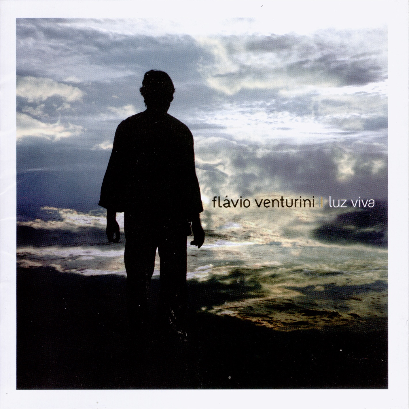 Flávio Venturini - Noites com sol