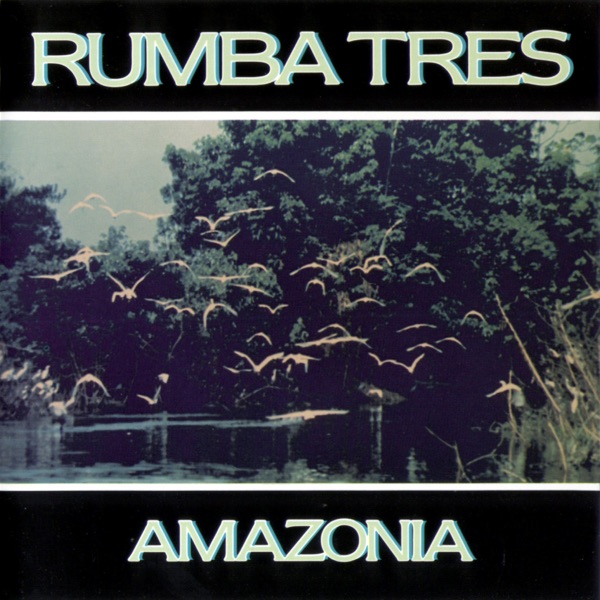 Amazonia artwork