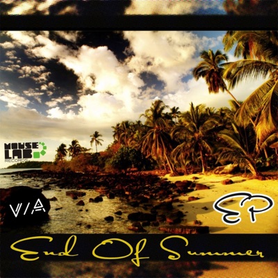 V / A - End of Summer 2012