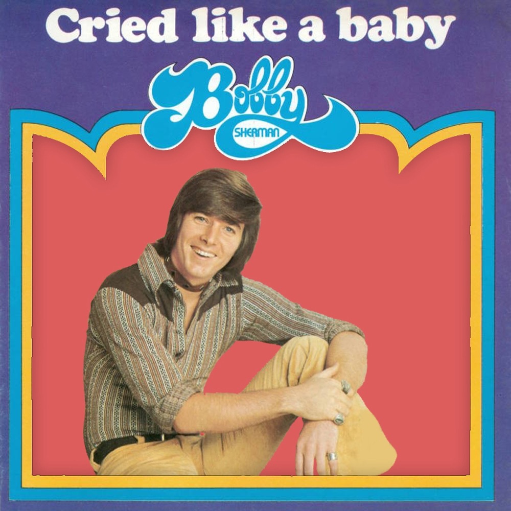 Cried Like a Baby cover art
