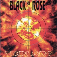 Black Rose