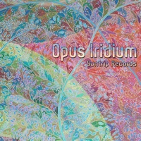Confusion Illusion (Remix)