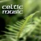 Comple De La Blanche Blish - Celtic Music Band lyrics
