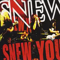 Stand Up High — Snew