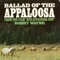 Ballad Of The Appaloosa - Bobby Wayne lyrics