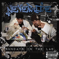 Sundays In the Lab - Never Die