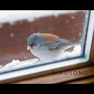 Birdsong (Gabe's Song) - Single