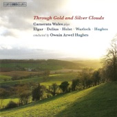 Elgar: Serenade for Strings - Elegy - Holst: St Paul's Suite - Hughes: Fantasia artwork