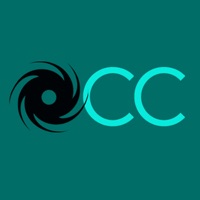 Your Everything (feat. Plavka) - Single - Mistral