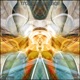 Sunrise EP