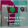 The Drum & Bass Experience Volume 4