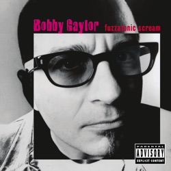 Bobby Gaylor - Suicide